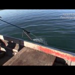 Fishing for Halibut, 7 9 15, Part 3