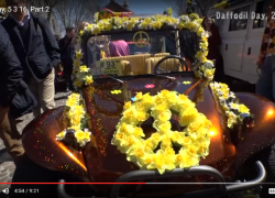 Daffodil Day, 5 3 16, Part 2